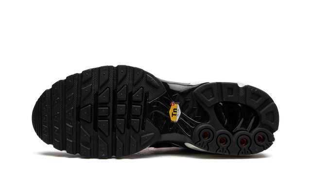 Air Max TN Plus “Dusk”