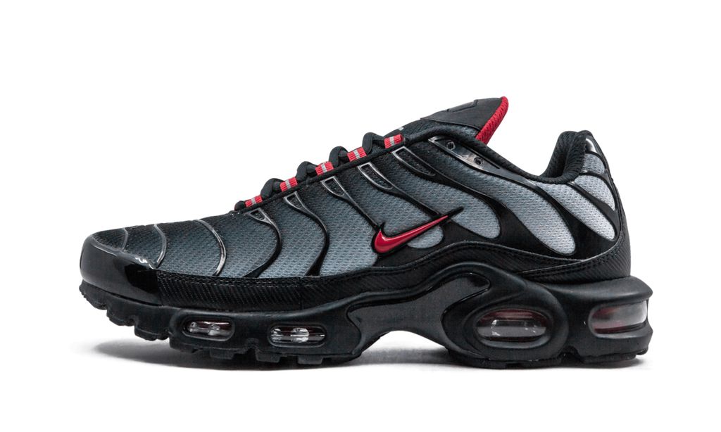 Nike Air Max Plus Blue and Red