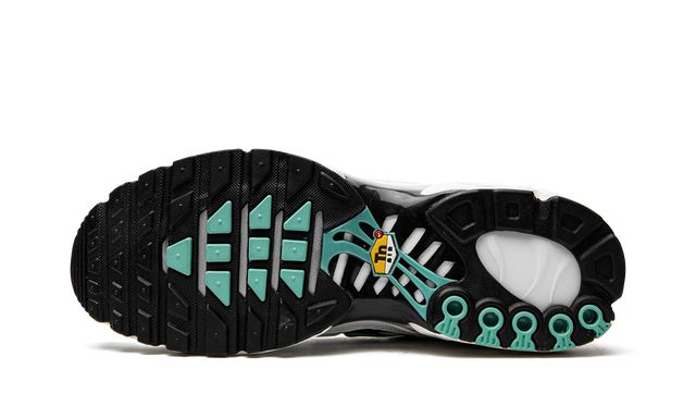 Nike Air Max Plus Atmos