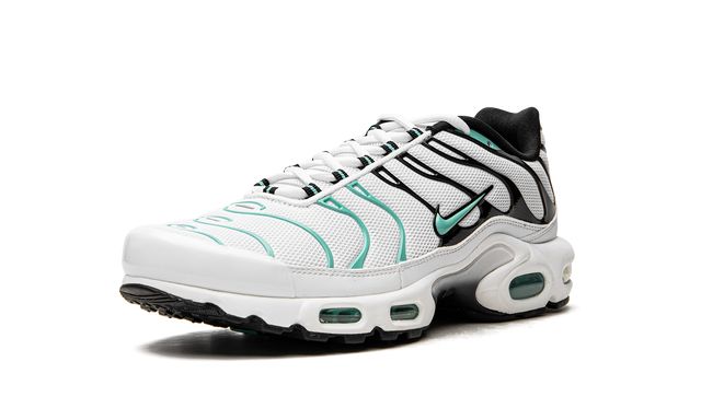 Nike Air Max Plus Atmos