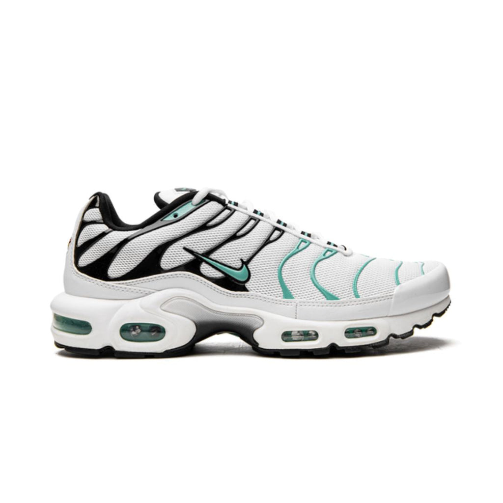 Nike Air Max Plus Atmos