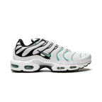 Nike Air Max Plus Atmos