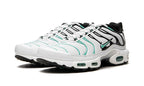 Nike Air Max Plus Atmos