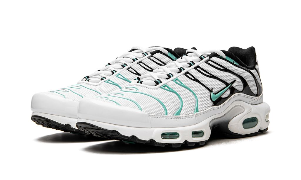 Nike Air Max Plus Atmos