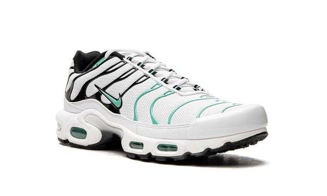 Nike Air Max Plus Atmos