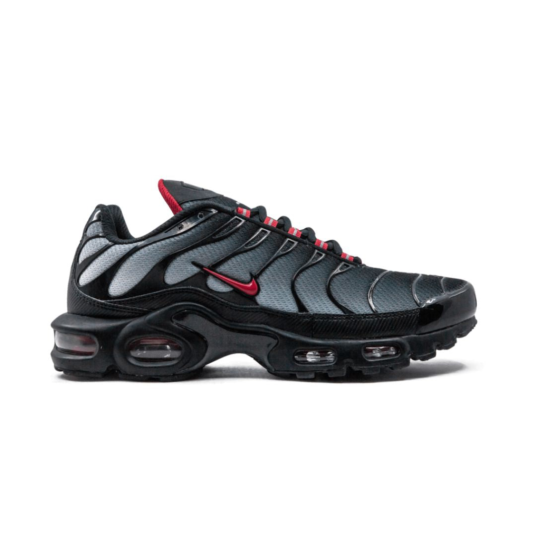 Nike Air Max Plus Blue and Red