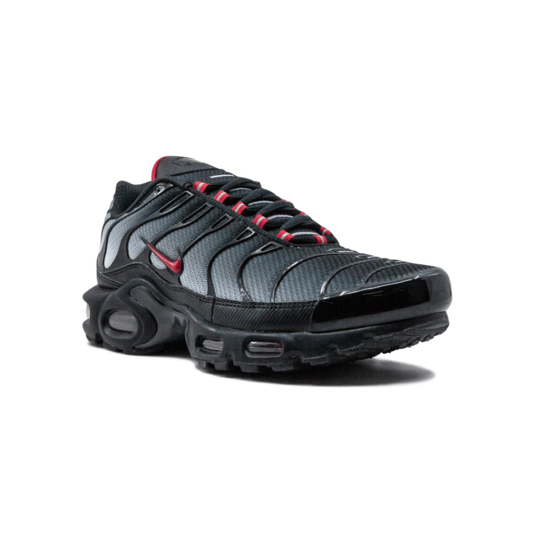 Nike Air Max Plus Blue and Red