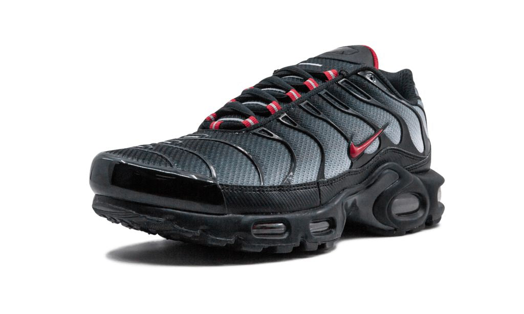 Nike Air Max Plus Blue and Red