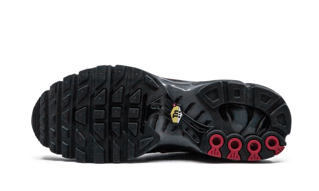 Nike Air Max Plus Blue and Red