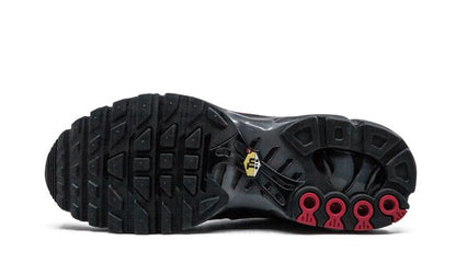 Nike Air Max Plus Blue and Red
