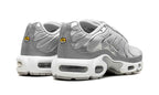 Nike Air Max Plus Metallic Silver