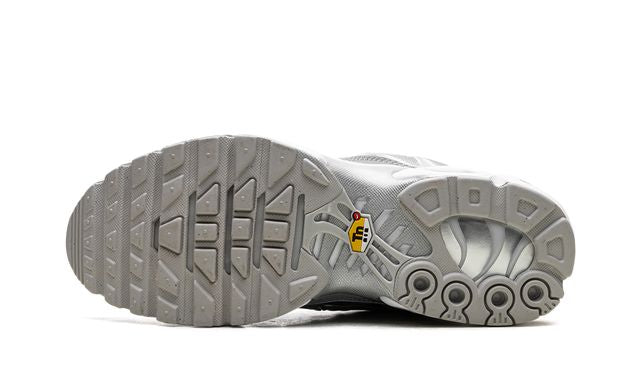 Nike Air Max Plus Metallic Silver