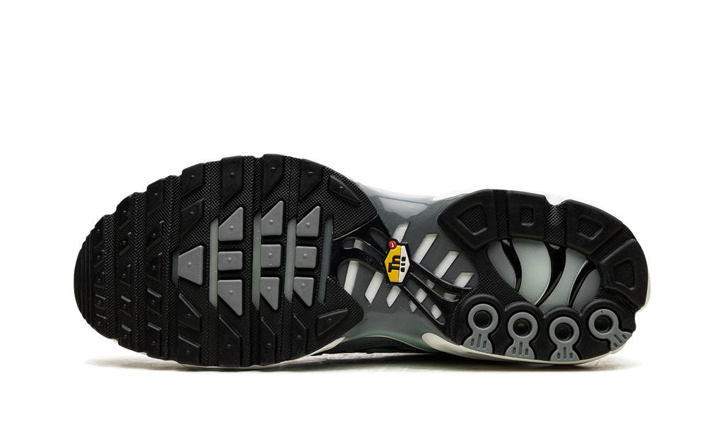 Nike Air Max Plus Waterway